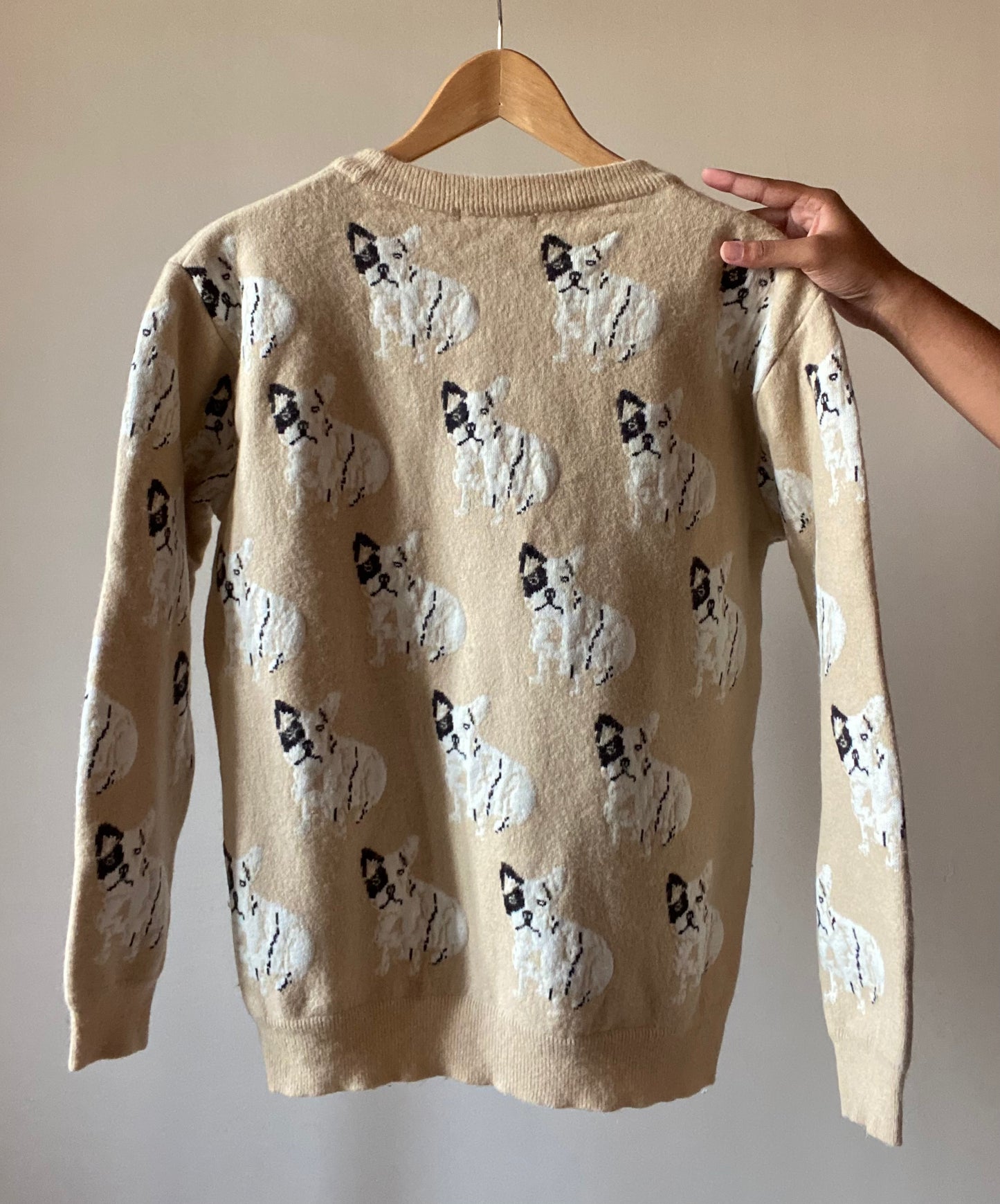 Pug Inspired Vintage Sweater